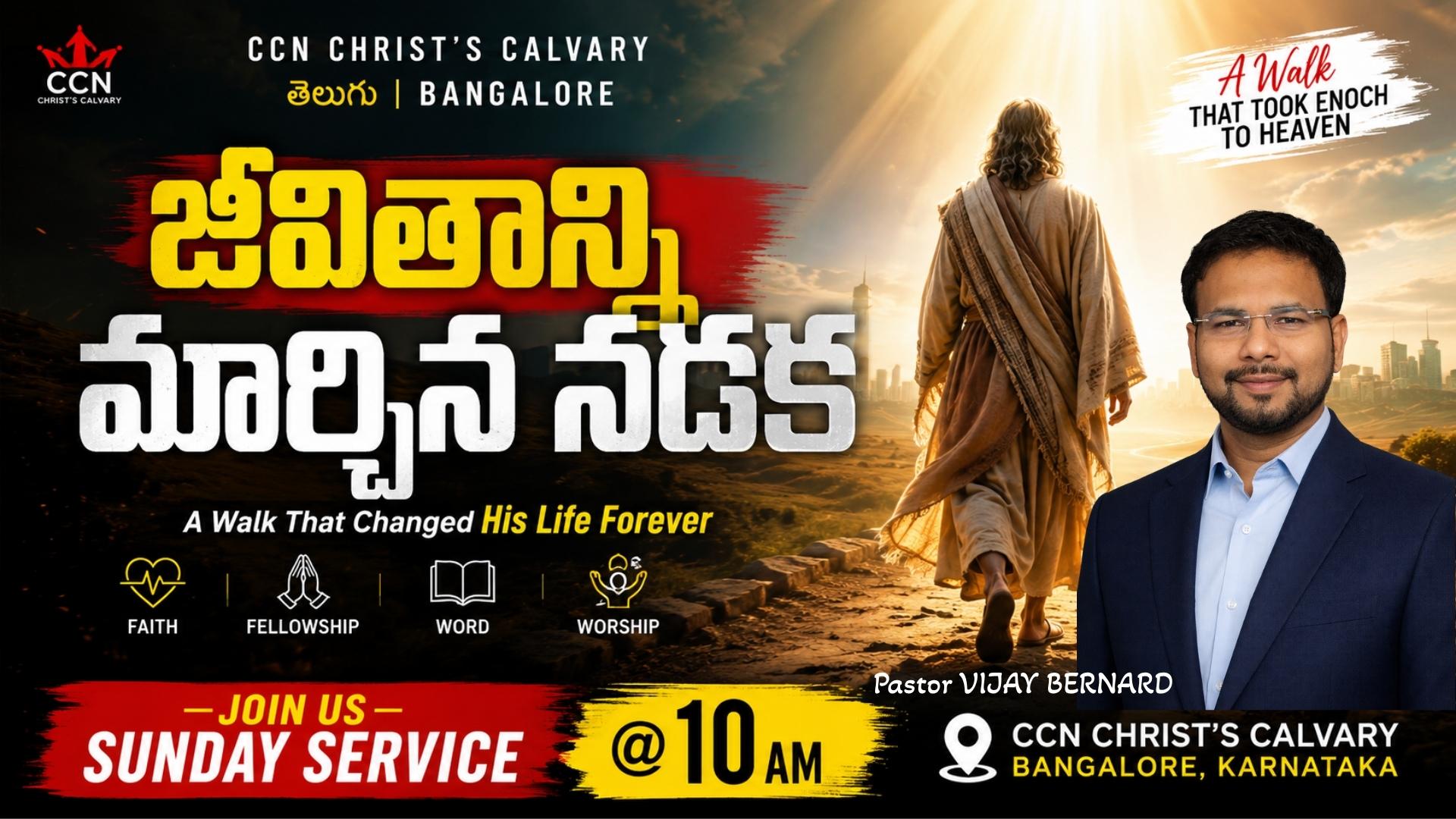 CCNHD LiveTvHD2